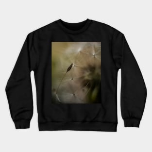 Macro Dandelion #2 Crewneck Sweatshirt